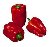 CHILI BELL RED